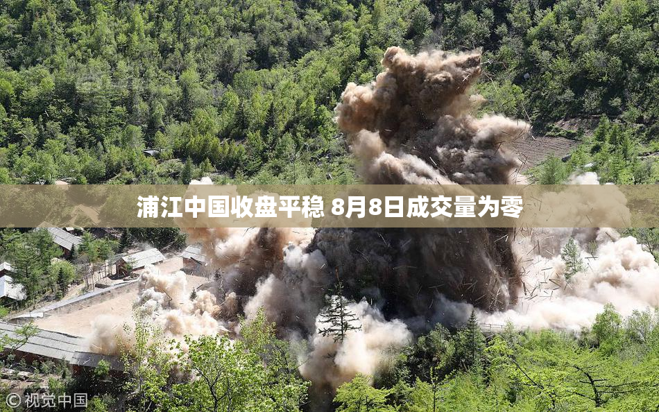 浦江中国收盘平稳 8月8日成交量为零