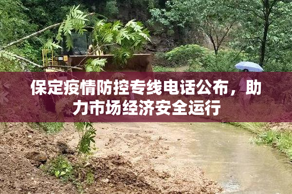 保定疫情防控专线电话公布，助力市场经济安全运行