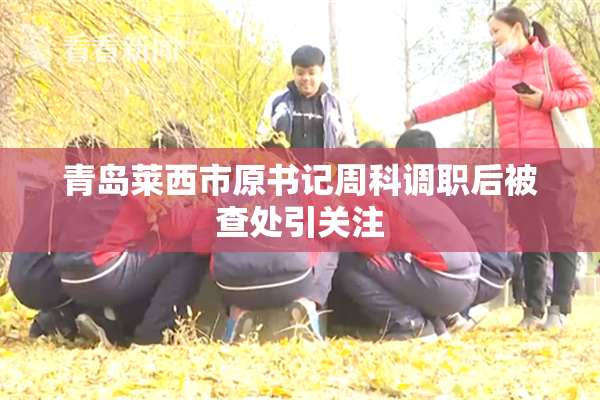青岛莱西市原书记周科调职后被查处引关注
