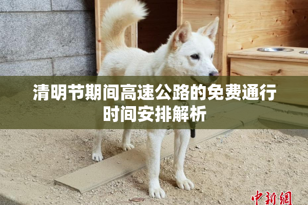 清明节期间高速公路的免费通行时间安排解析