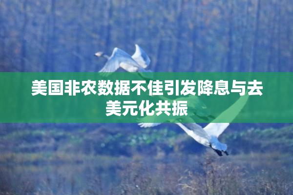 美国非农数据不佳引发降息与去美元化共振