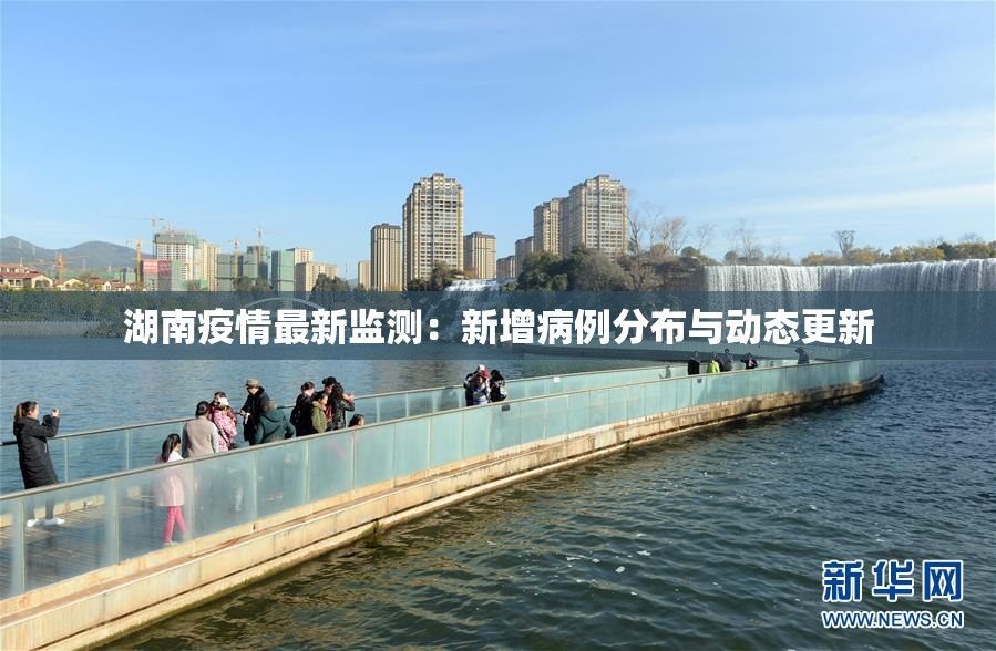 湖南疫情最新监测：新增病例分布与动态更新
