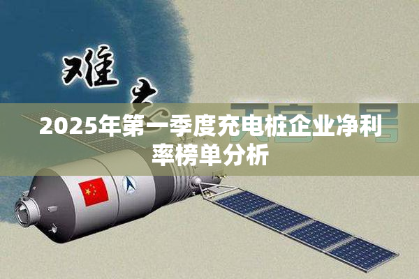 2025年第一季度充电桩企业净利率榜单分析