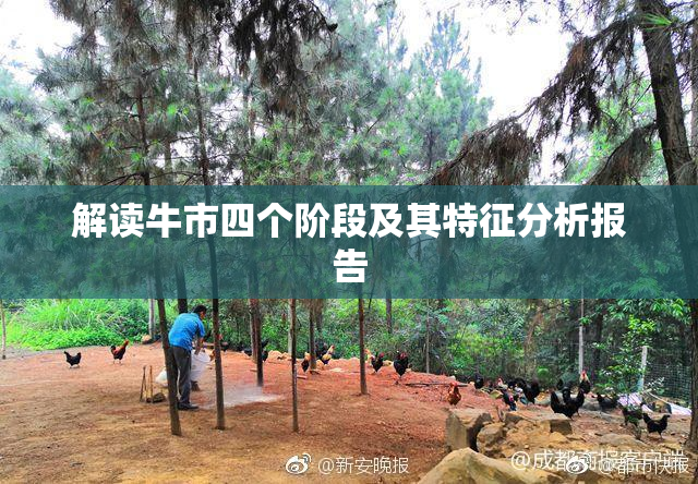 解读牛市四个阶段及其特征分析报告