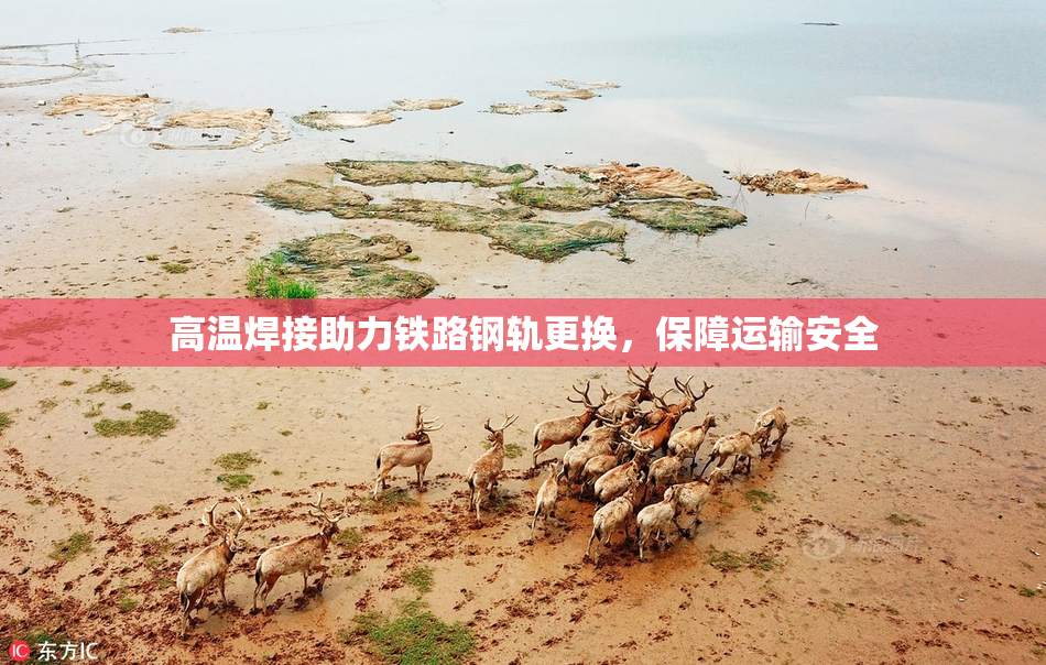 高温焊接助力铁路钢轨更换，保障运输安全