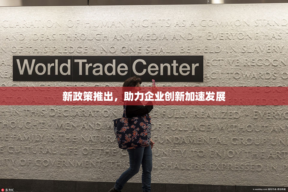 新政策推出，助力企业创新加速发展