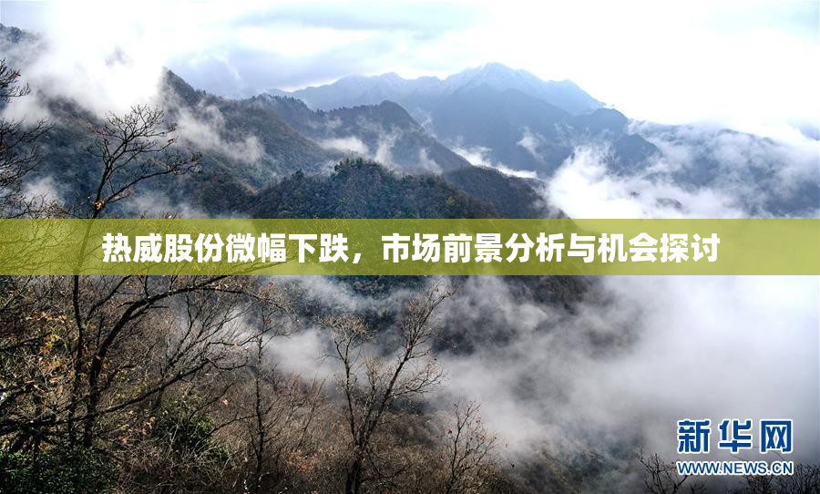 热威股份微幅下跌，市场前景分析与机会探讨
