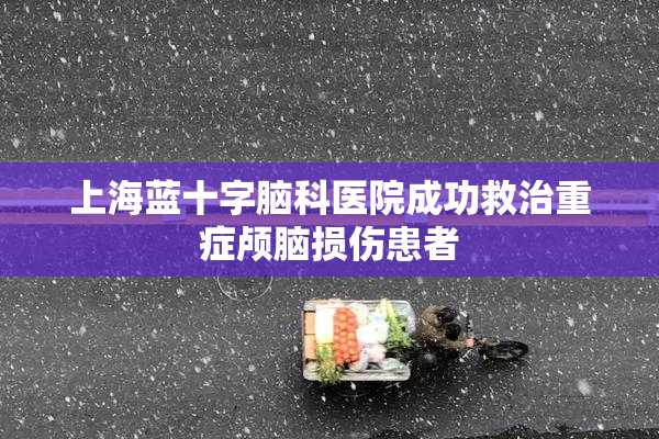 上海蓝十字脑科医院成功救治重症颅脑损伤患者