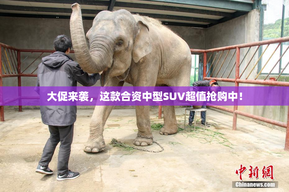 大促来袭，这款合资中型SUV超值抢购中！