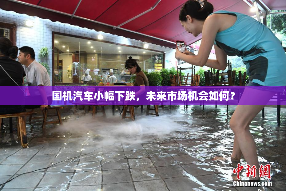国机汽车小幅下跌，未来市场机会如何？
