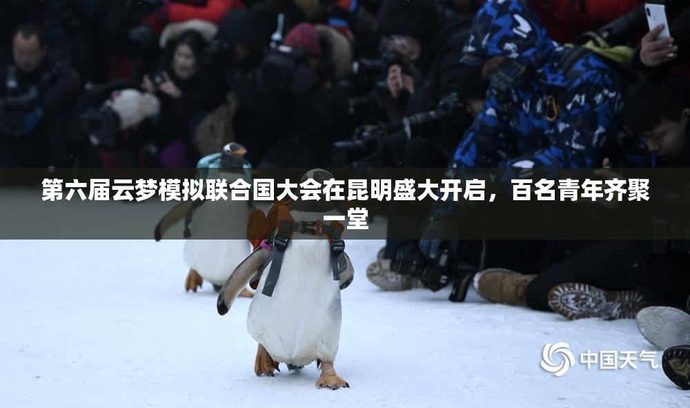 第六届云梦模拟联合国大会在昆明盛大开启，百名青年齐聚一堂