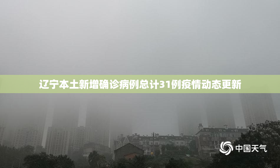 辽宁本土新增确诊病例总计31例疫情动态更新