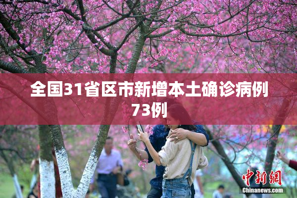 全国31省区市新增本土确诊病例73例