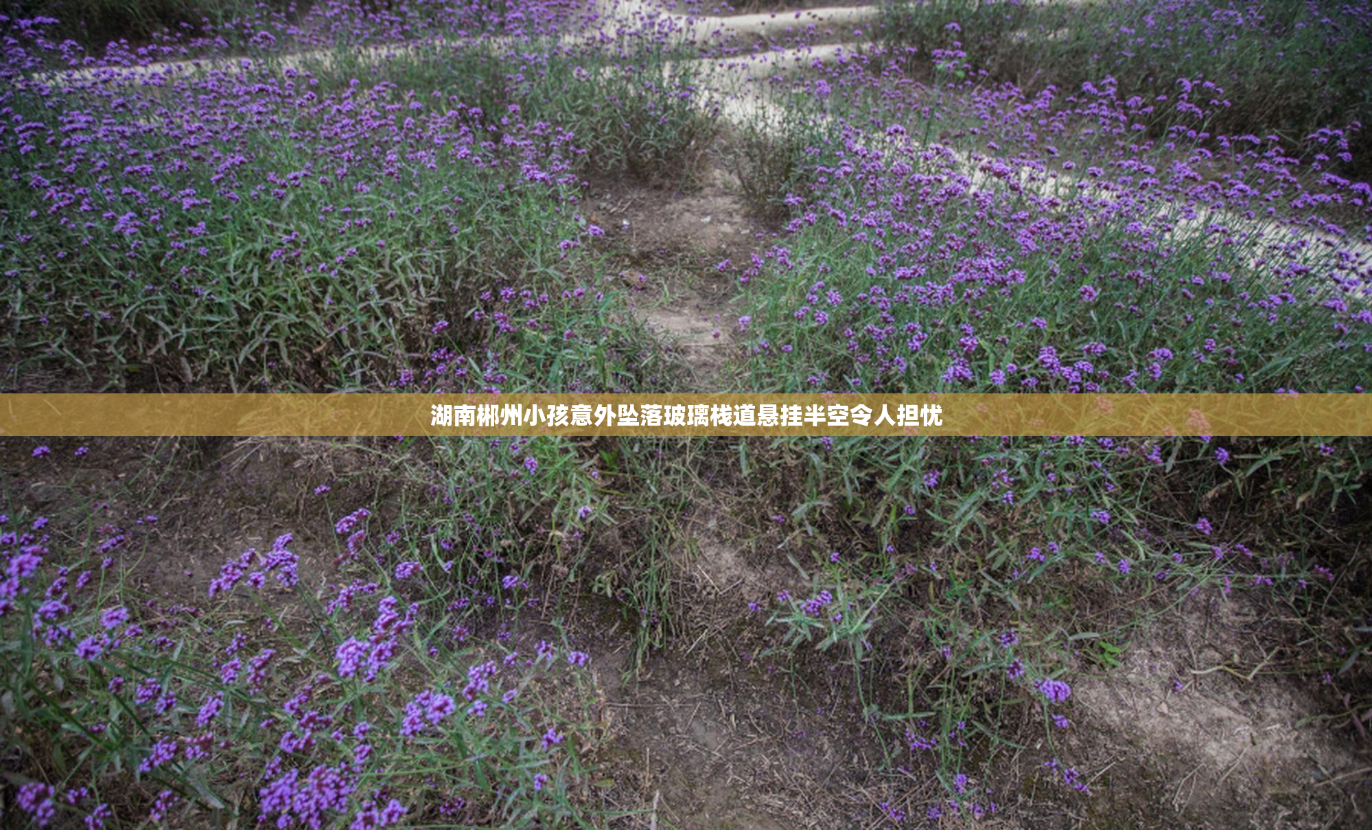 湖南郴州小孩意外坠落玻璃栈道悬挂半空令人担忧