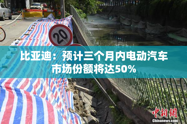 比亚迪：预计三个月内电动汽车市场份额将达50%