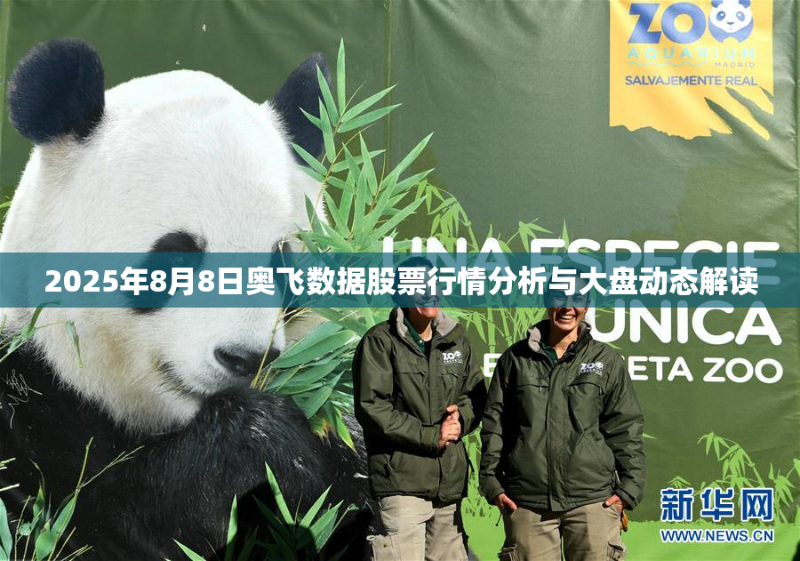 2025年8月8日奥飞数据股票行情分析与大盘动态解读