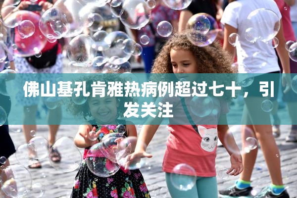佛山基孔肯雅热病例超过七十，引发关注