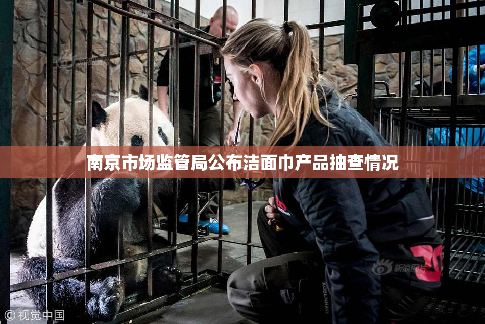 南京市场监管局公布洁面巾产品抽查情况