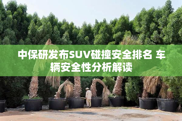 中保研发布SUV碰撞安全排名 车辆安全性分析解读