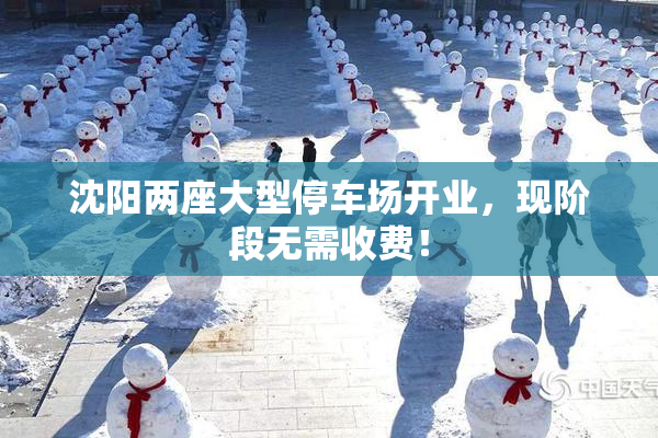 沈阳两座大型停车场开业，现阶段无需收费！
