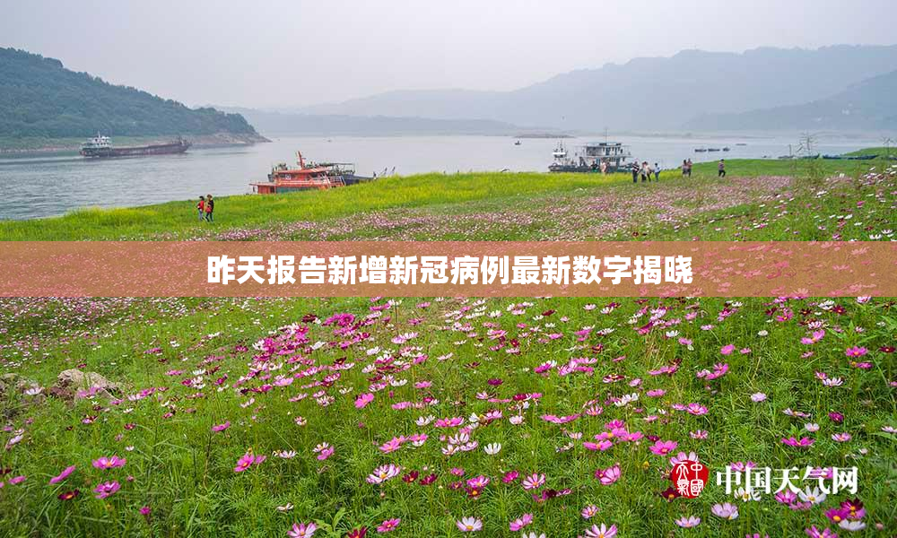 昨天报告新增新冠病例最新数字揭晓