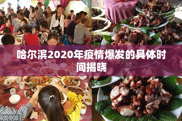 哈尔滨2020年疫情爆发的具体时间揭晓
