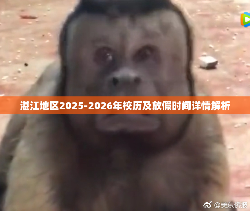湛江地区2025-2026年校历及放假时间详情解析
