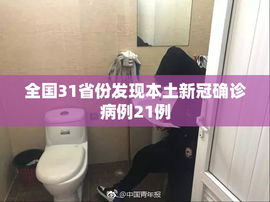 全国31省份发现本土新冠确诊病例21例