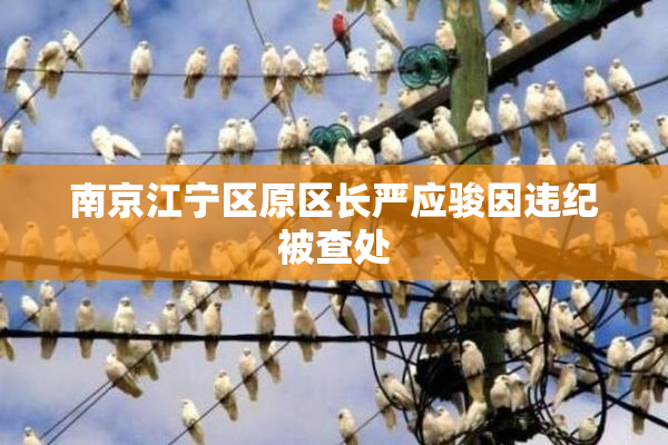 南京江宁区原区长严应骏因违纪被查处