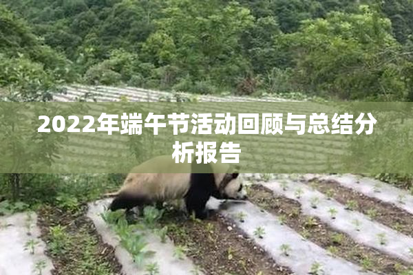 2022年端午节活动回顾与总结分析报告