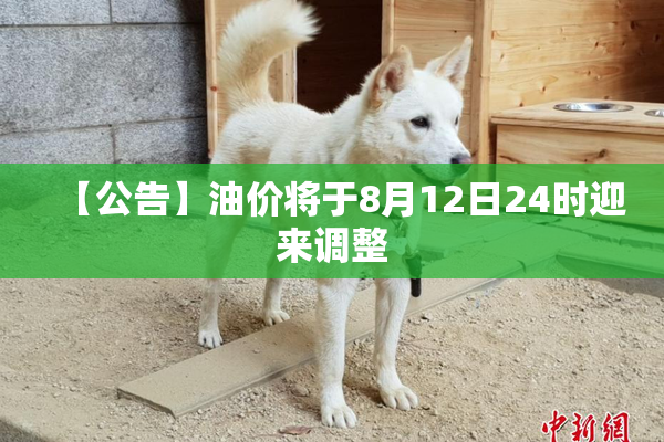 【公告】油价将于8月12日24时迎来调整