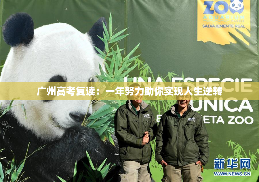 广州高考复读：一年努力助你实现人生逆转