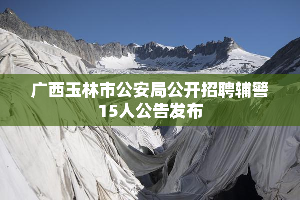 广西玉林市公安局公开招聘辅警15人公告发布