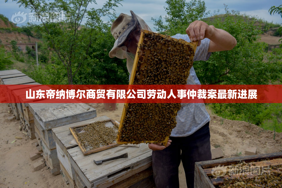 山东帝纳博尔商贸有限公司劳动人事仲裁案最新进展