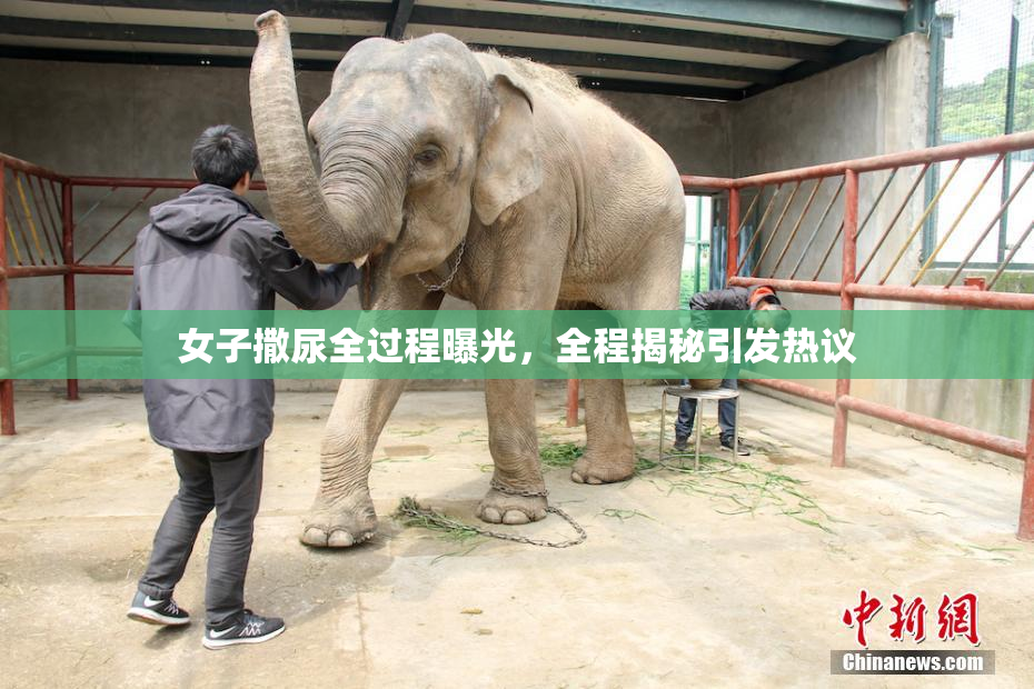 女子撒尿全过程曝光，全程揭秘引发热议