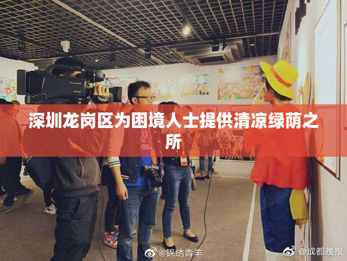 深圳龙岗区为困境人士提供清凉绿荫之所