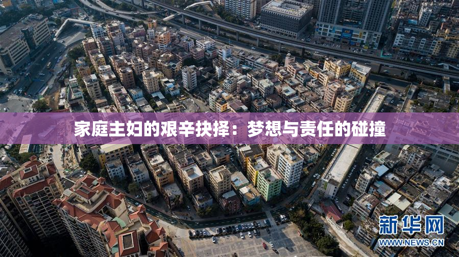 家庭主妇的艰辛抉择：梦想与责任的碰撞
