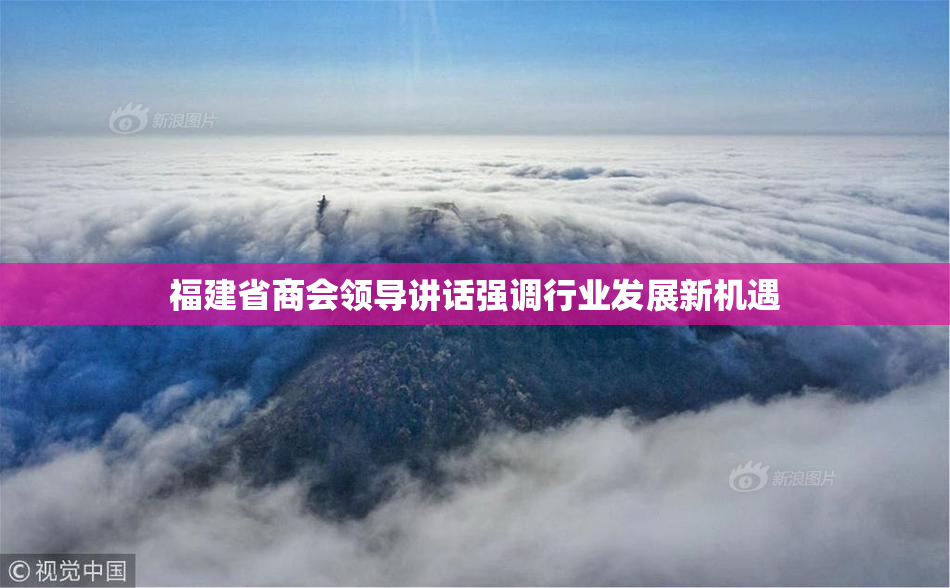 福建省商会领导讲话强调行业发展新机遇