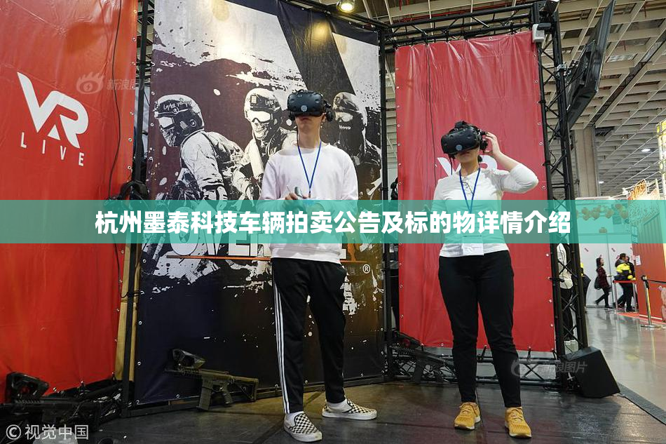 杭州墨泰科技车辆拍卖公告及标的物详情介绍