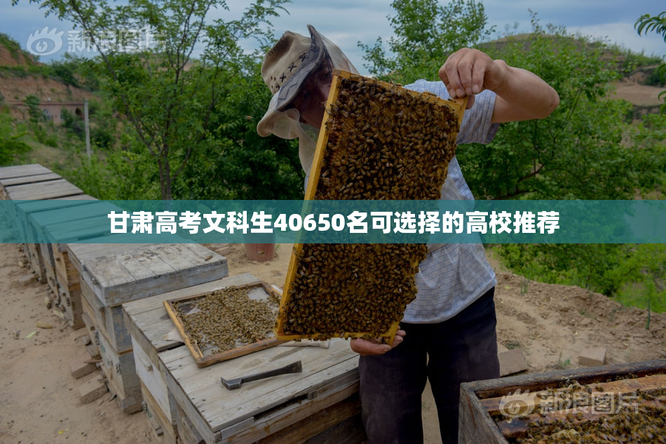 甘肃高考文科生40650名可选择的高校推荐