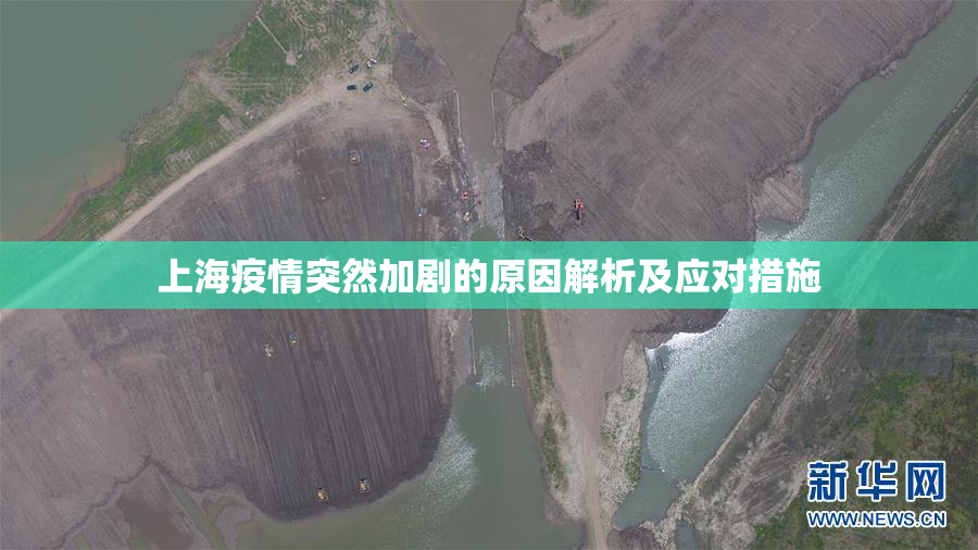 上海疫情突然加剧的原因解析及应对措施