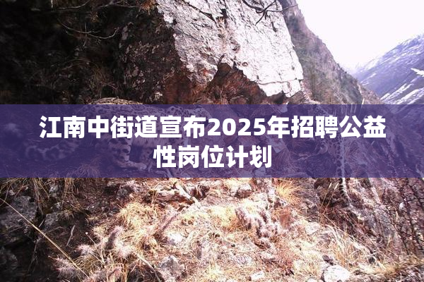 江南中街道宣布2025年招聘公益性岗位计划