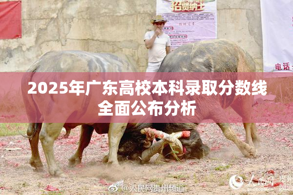 2025年广东高校本科录取分数线全面公布分析
