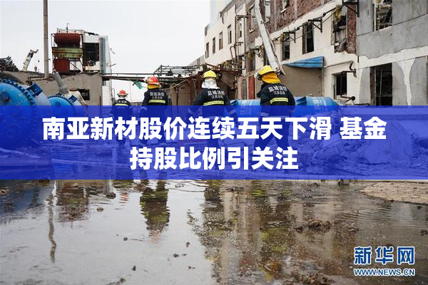 南亚新材股价连续五天下滑 基金持股比例引关注