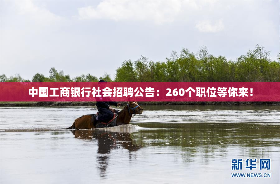 中国工商银行社会招聘公告：260个职位等你来！