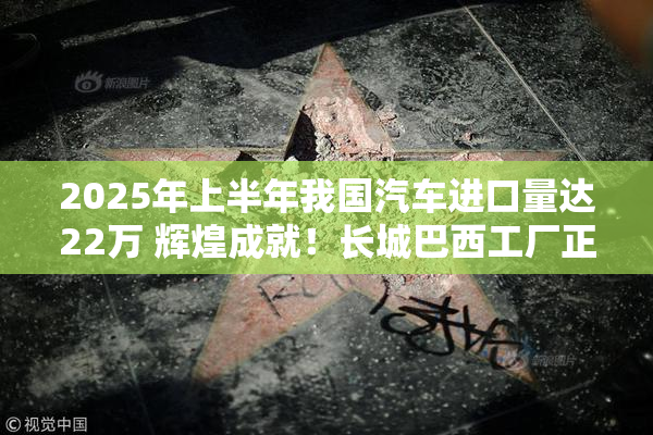 2025年上半年我国汽车进口量达22万 辉煌成就！长城巴西工厂正式投产