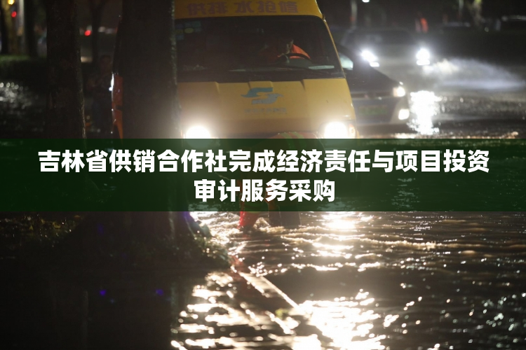 吉林省供销合作社完成经济责任与项目投资审计服务采购
