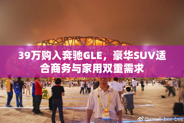 39万购入奔驰GLE，豪华SUV适合商务与家用双重需求