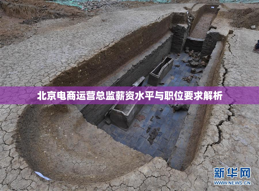 北京电商运营总监薪资水平与职位要求解析