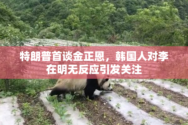 特朗普首谈金正恩，韩国人对李在明无反应引发关注